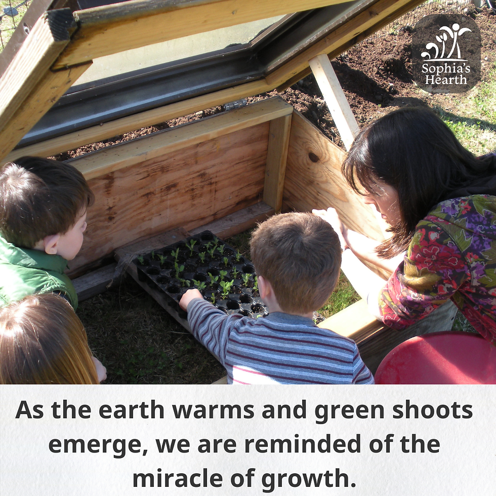 Watch our Garden Grow