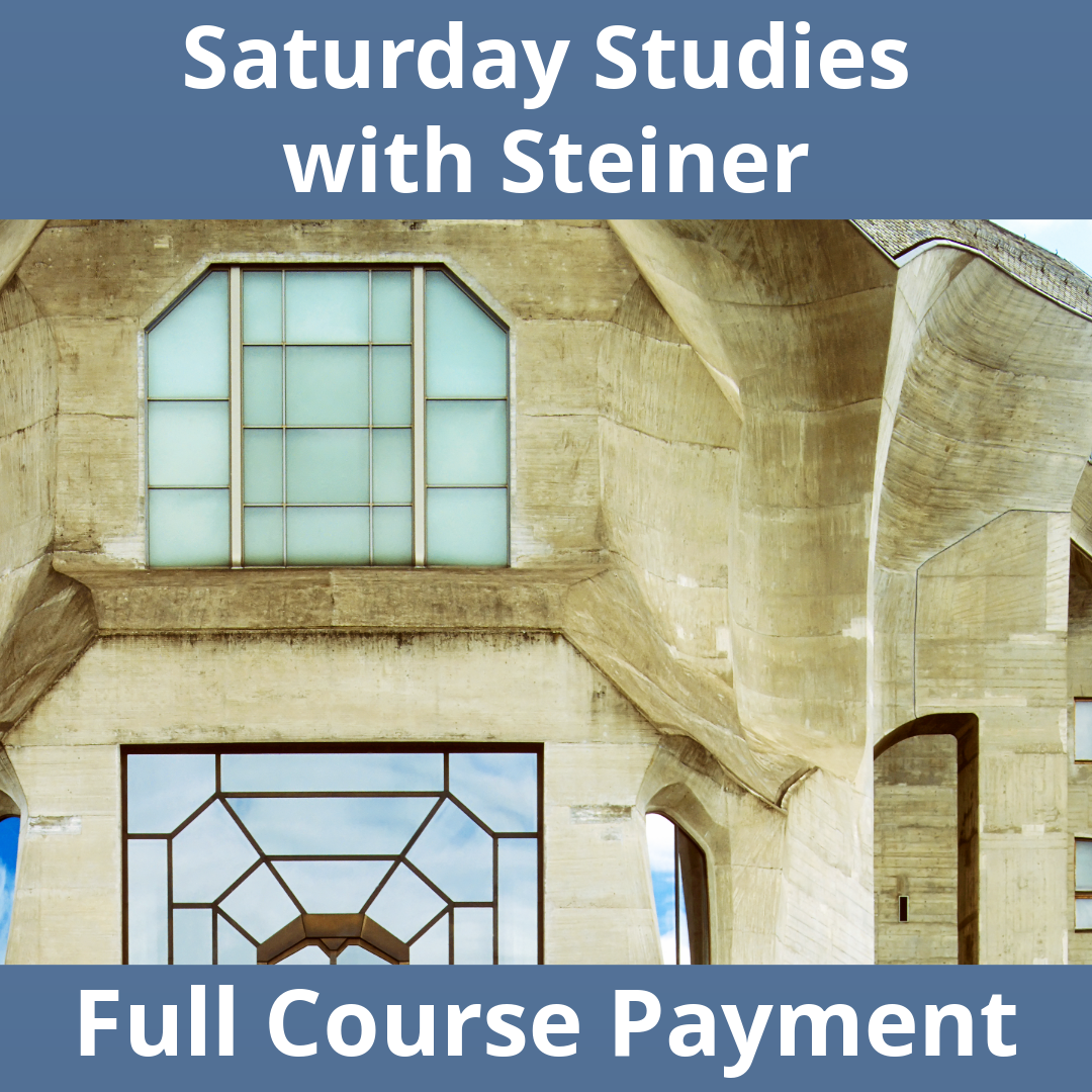 Saturday Studies with Steiner