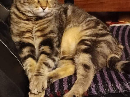 Dramen & glücklichen Fügungen