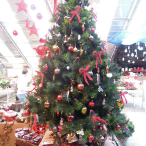 スイスのクリスマス 8
クリスマス・ツリー
