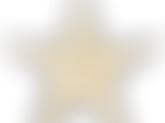 The Gold Star Factory