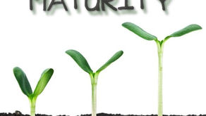 História de Projetos (Final do Século 20 e Começo do Século 21)