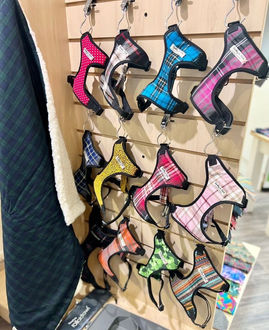 Pop Up Shop Images