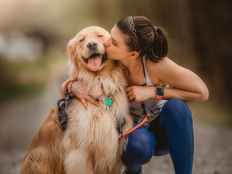 Why Do Golden Retrievers Follow You Everywhere? The Honest Truth About Golden Retriever Attachment, Emotional Loyalty & Why You No Longer Walk Anywhere Alone