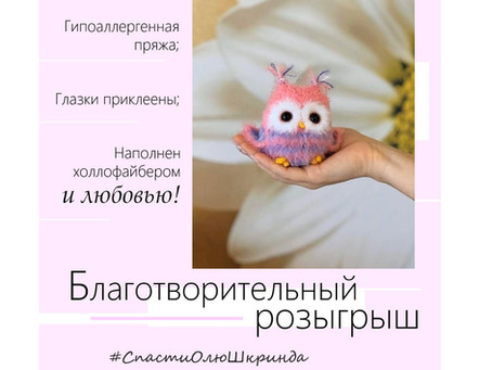 Благотворительная Лотерея "Совенок" (мягкая игрушка) - Завершена
