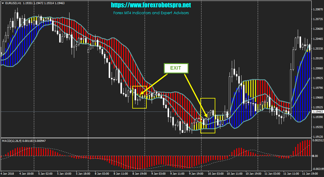 forex stop out