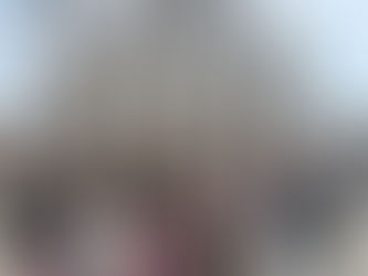 T’imagines aprendre, conviure i fer amistats en altres països d’Europa?