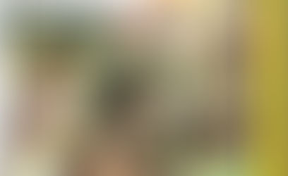 El valle de los lobos