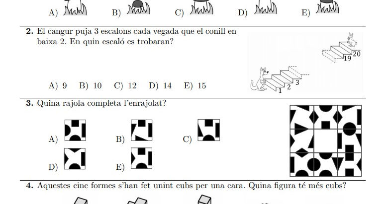 La meua experiència a la Prova Cangur