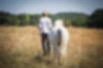 Equicoaching