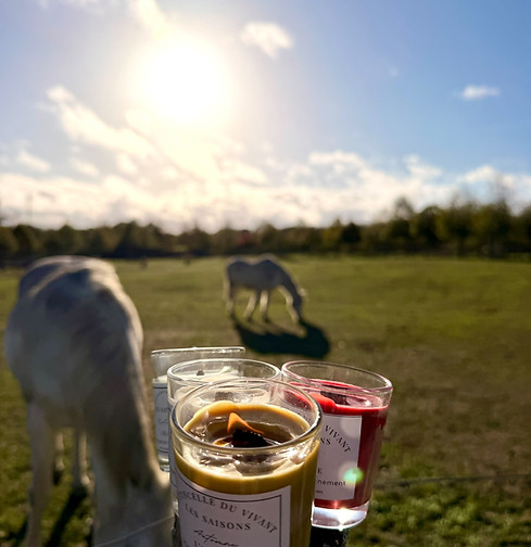 Bougie et cheval.jpeg