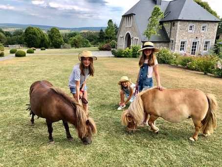 Stage d'été pour enfants: Cheval et nature
