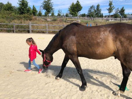 Equicoaching pour enfants module 3 la communication