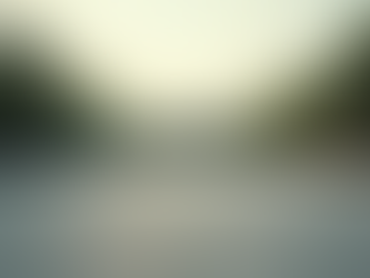 Your Ultimate Home Building Process Guide: Step-by-Step to Your Dream House