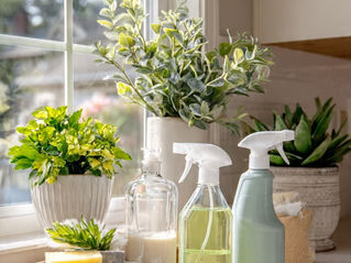 Essential Spring Cleaning Checklist for Cork Homes to Refresh Your Space