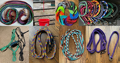 reins ropes.jpg