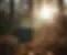 width_1328.webp