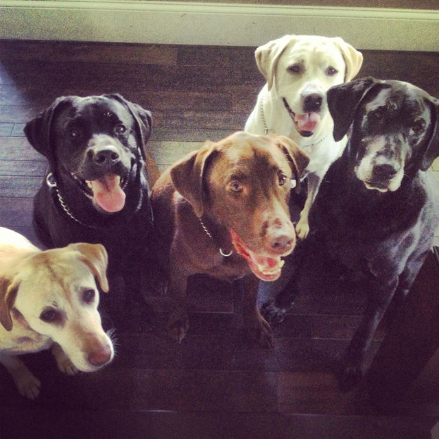 Meet the Crew!