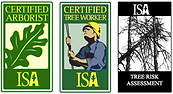 ISA Logo