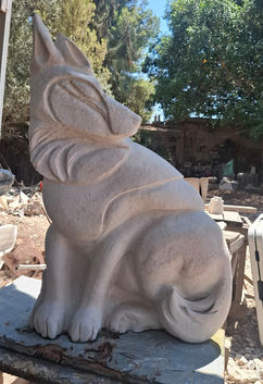 Brave dog for Brave Men