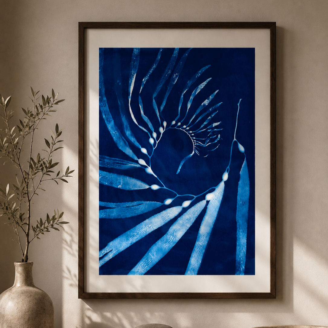 Salt Creek 003 Kelp Cyanotype (PRINT)