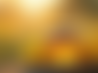 Discovering the Honey Atlas: A Global Journey