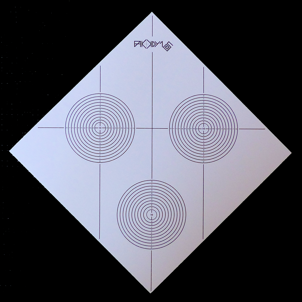 Zielscheibe für das Pfeilwurfspiel Fakkdy15, hier eine "Profischeibe"