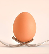 1oeuf.jpg