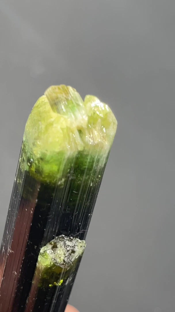 Thumbnail: Tourmaline - Minas Gerais, Brazil