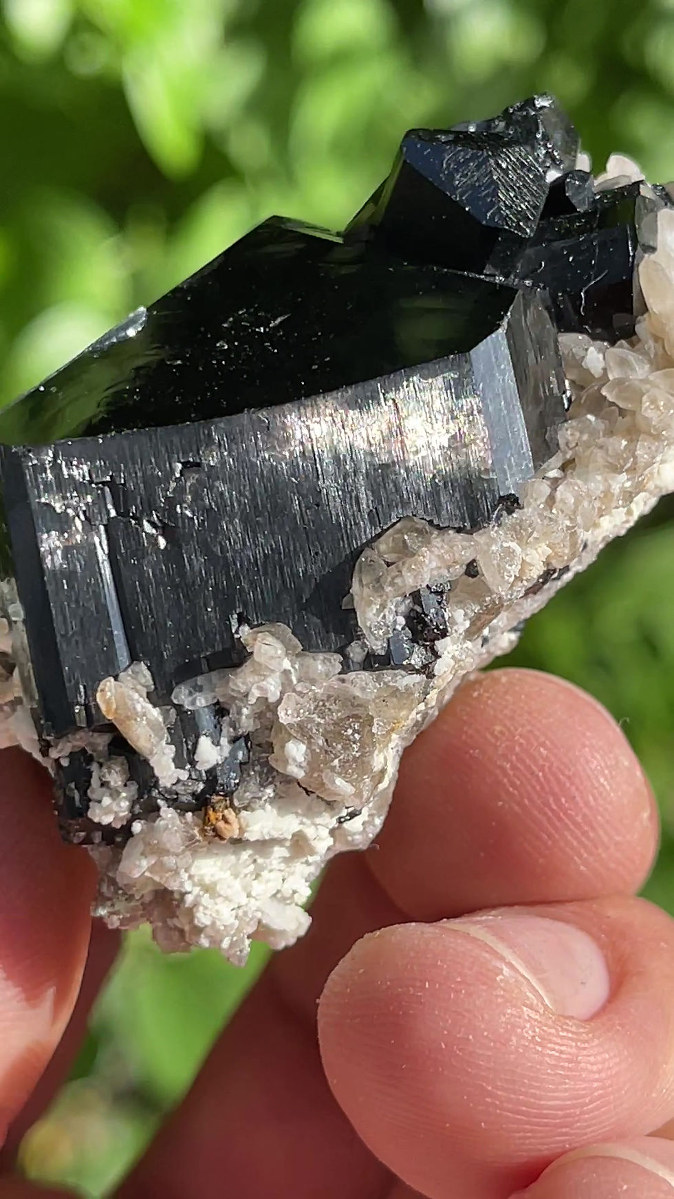 Thumbnail: Tourmaline var. Schorl on Hyalite – Farm Brabant, Erongo, Namibia