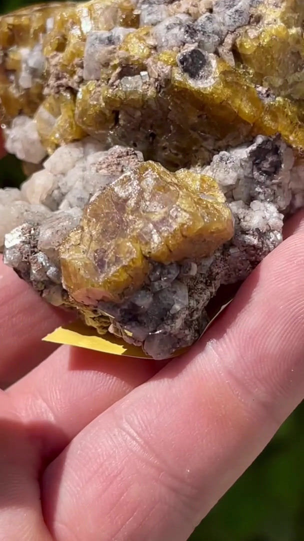 Thumbnail: Vesuvian, Garnet – Lake Jaco, Sierra Cruces, Coahuila, Mexico