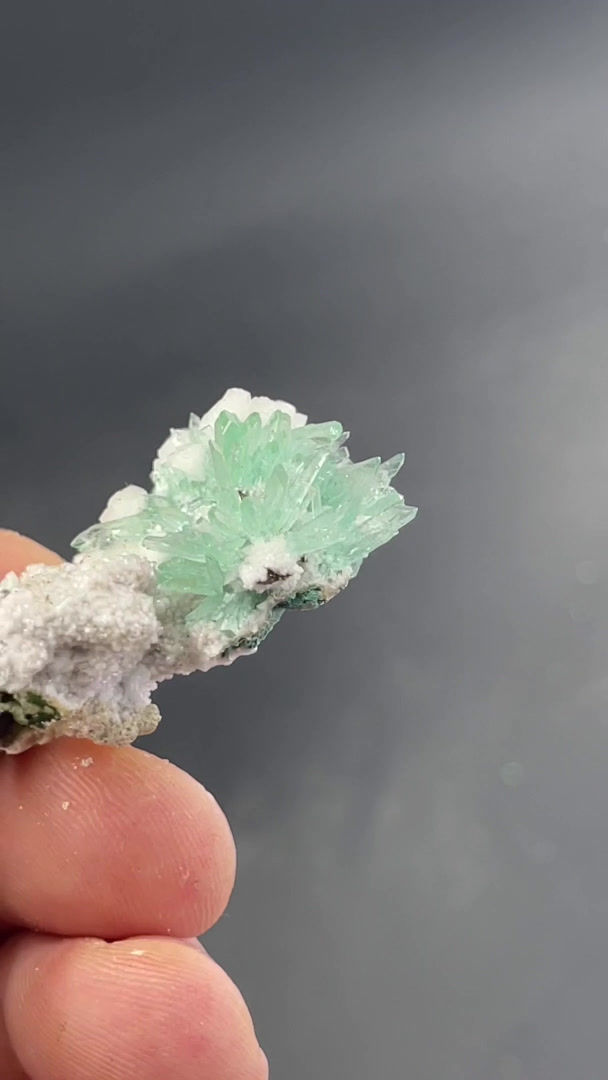 Thumbnail: Apophylite – Poona, Maharashta, India