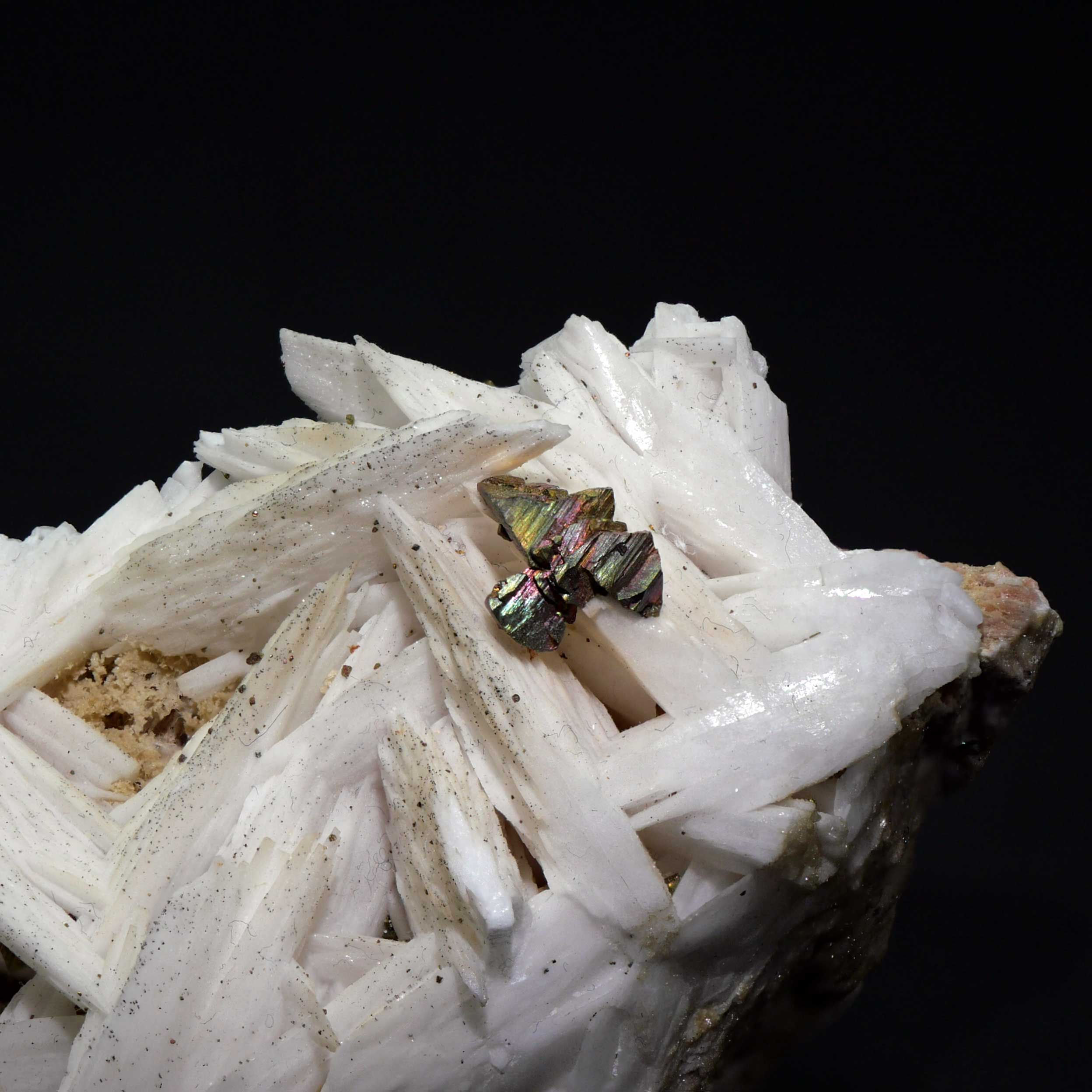 Barite, Chalcopyrite - Dreislar, Germany