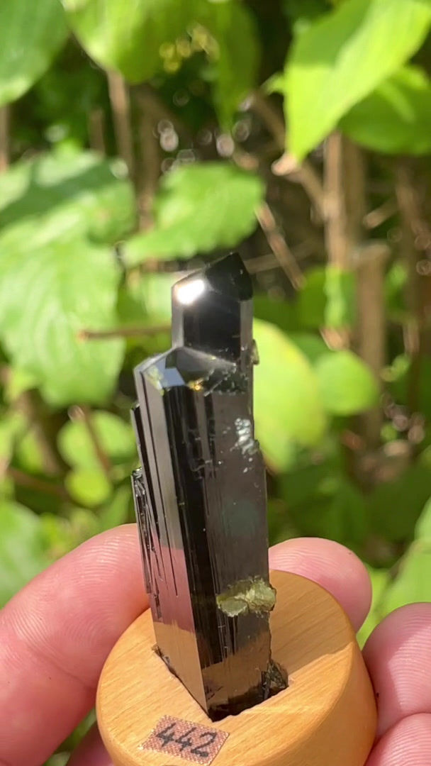 Thumbnail: Epidote – Knappenwand, Pinzgau, Salzburg, Austria