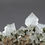 Thumbnail: Scepter quartz – Nikolaevskoe Mine, Dalnegorsk, Russia
