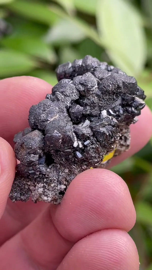 Thumbnail: Descloizite – Tsumeb Mine, Namibia