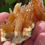 Thumbnail: Celestine on sulfur – Machow, Tarnobrzeg, Poland