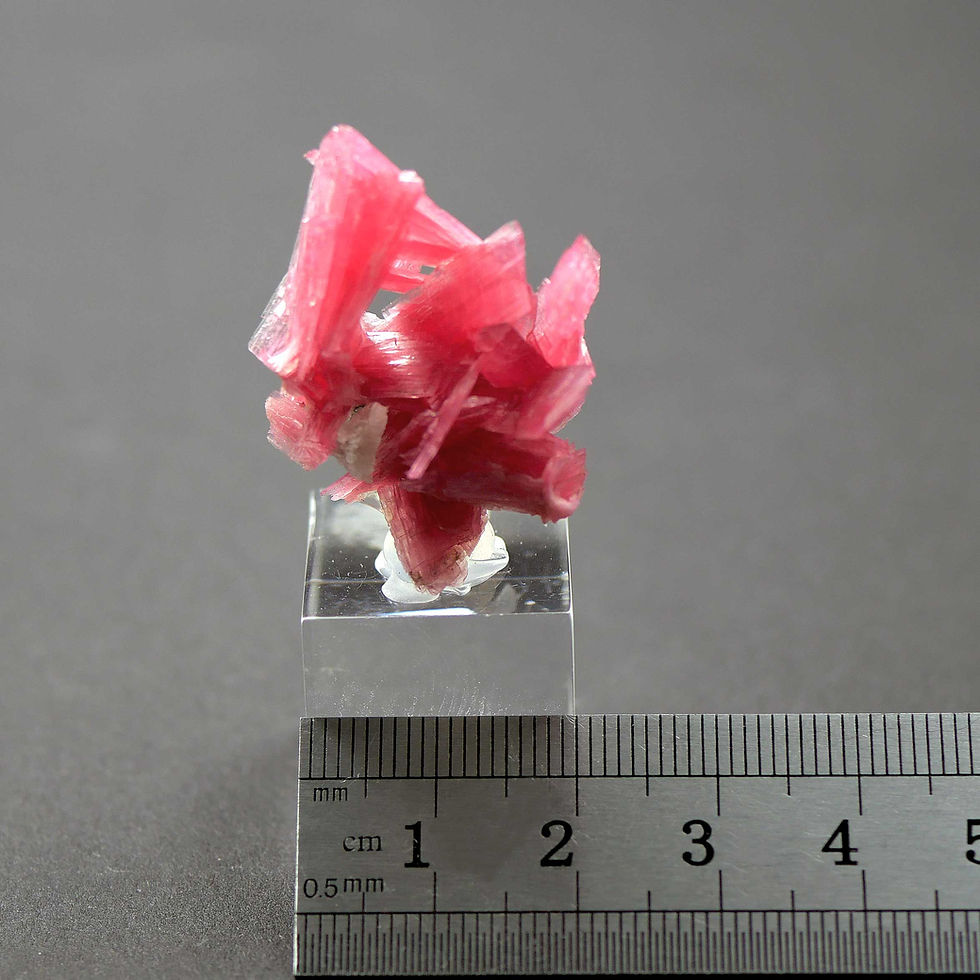 Thumbnail: Rhodonite - San Martín Mine, Chiurucu, Ancash, Peru