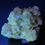 Thumbnail: Fluorite, Calcite – Mina Moscona, Villabona, Oviedo, Asturias, Spain