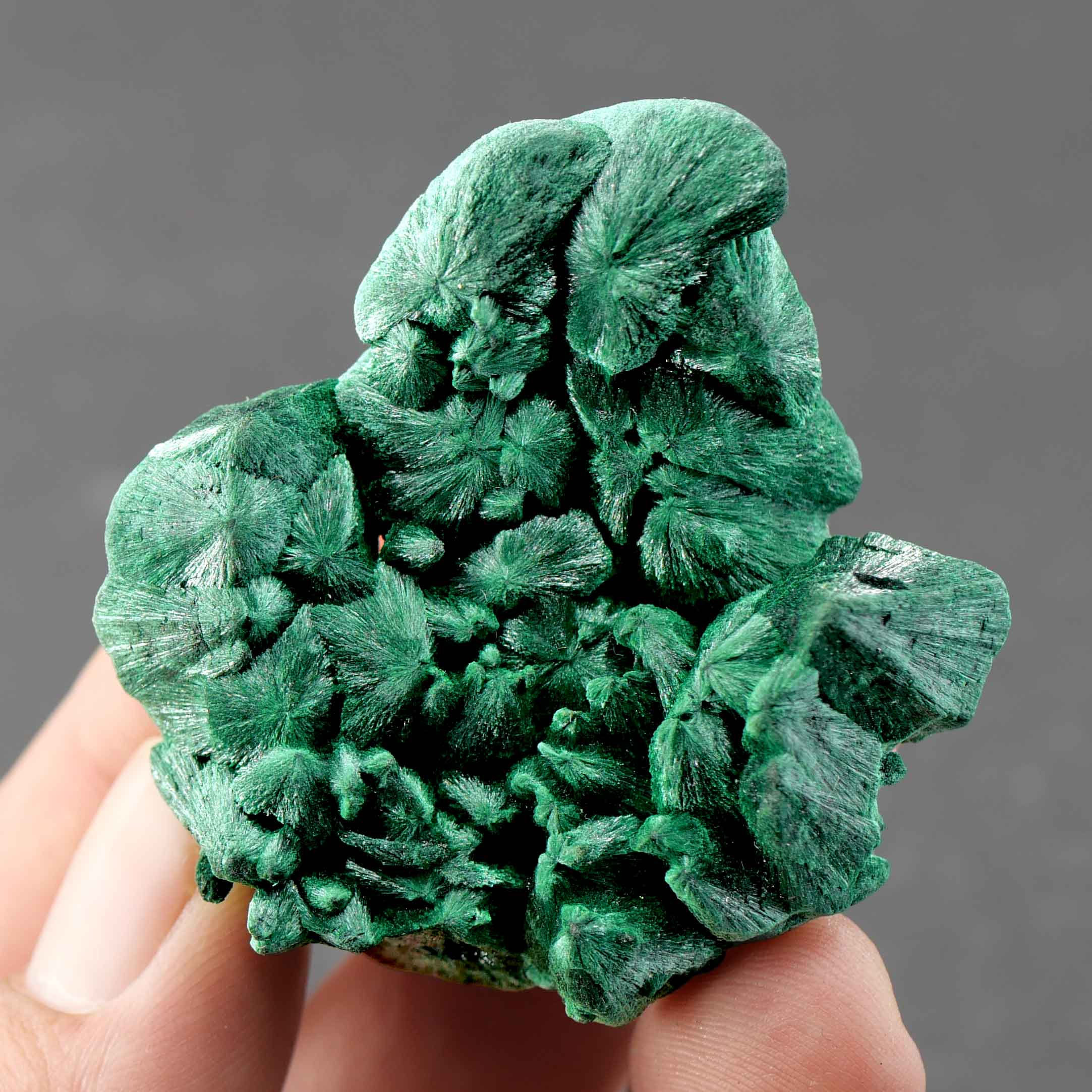 Malachit – Yangijang, Guangdong, China