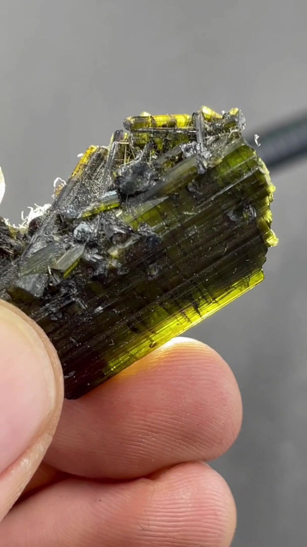 Thumbnail: Tourmaline, hollow – Pederneira Mine, Minas Gerias, Brazil