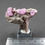 Thumbnail: Cobaltocalcite – Mashamba West, D.R. Congo