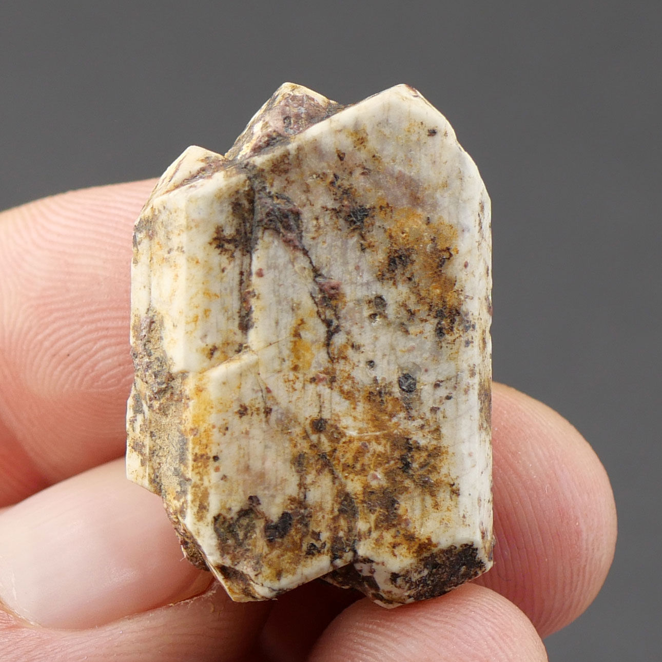 Orthoklas (Karlsbader Zwilling) - Kirnbergsee, Schwarzwald, Deutschland