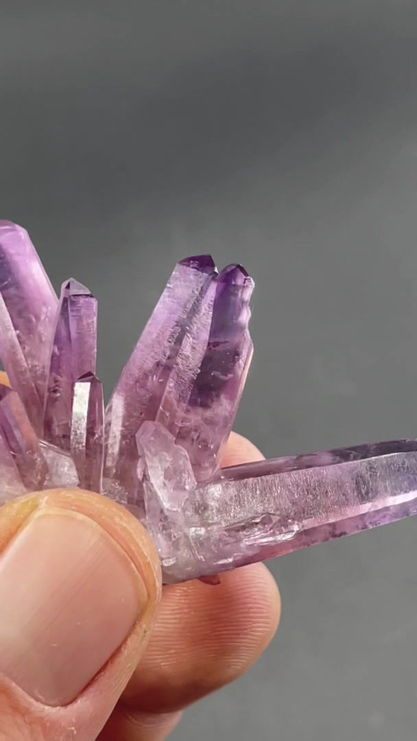 Thumbnail: Amethyst – Las Vigas, Veracruz, Mexico