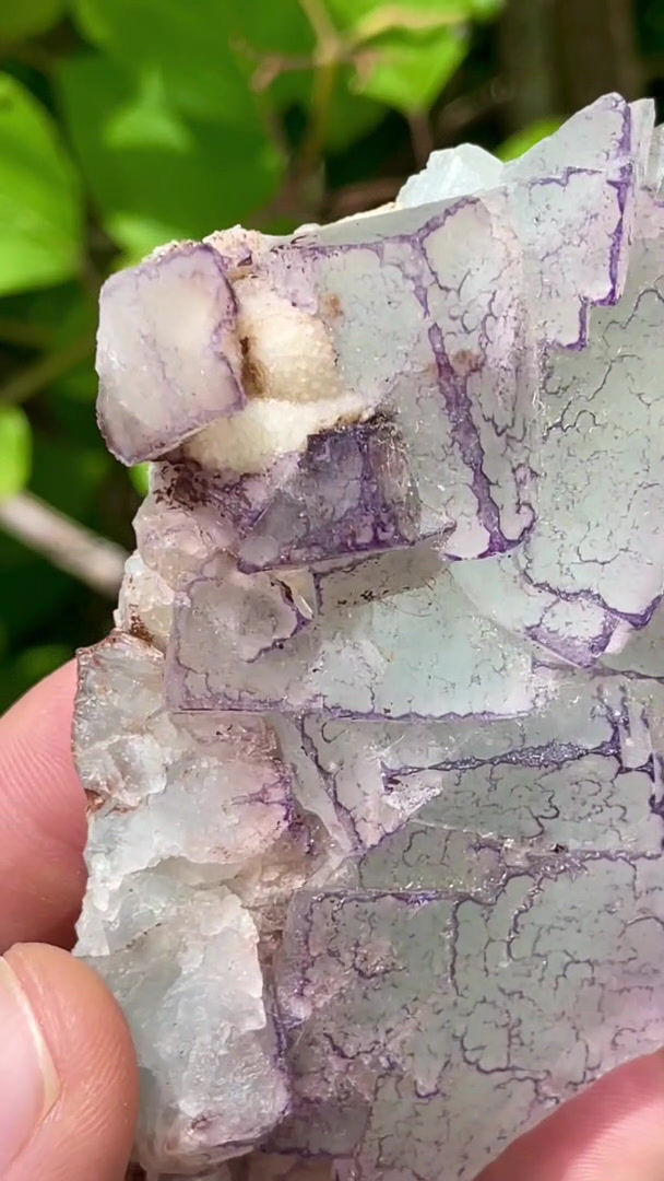 Thumbnail: Fluorite (QR Code) – Qinglong Mine, Guizhou, China