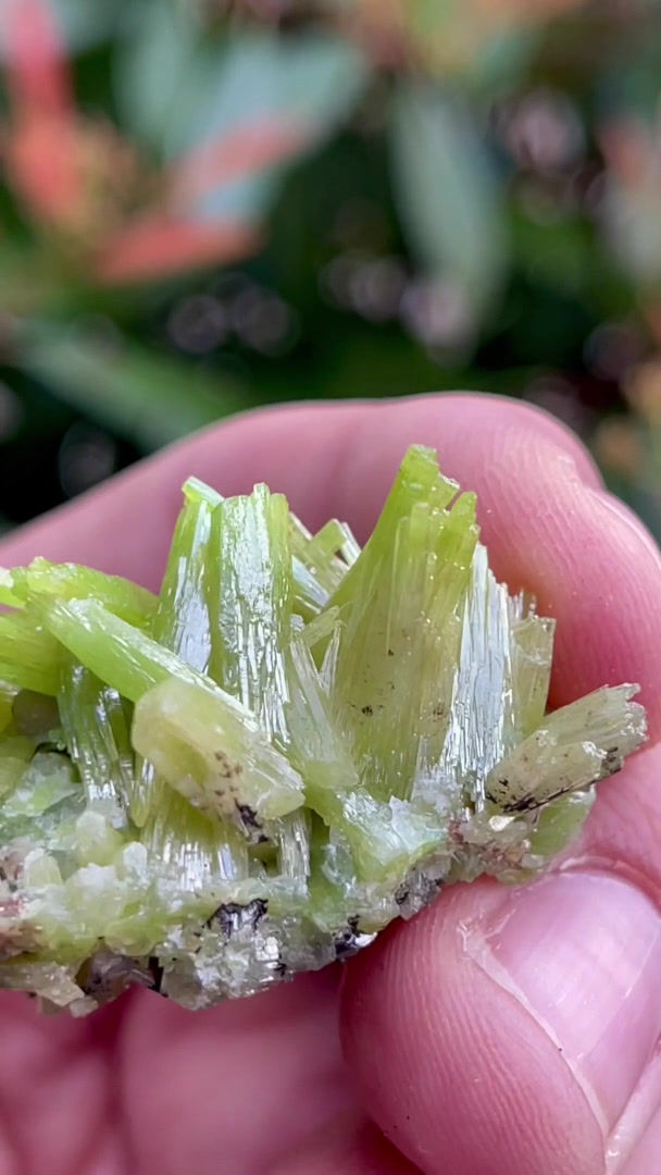 Thumbnail: Pyromorphite – Daoping, Gongcheng, Guangxi, China