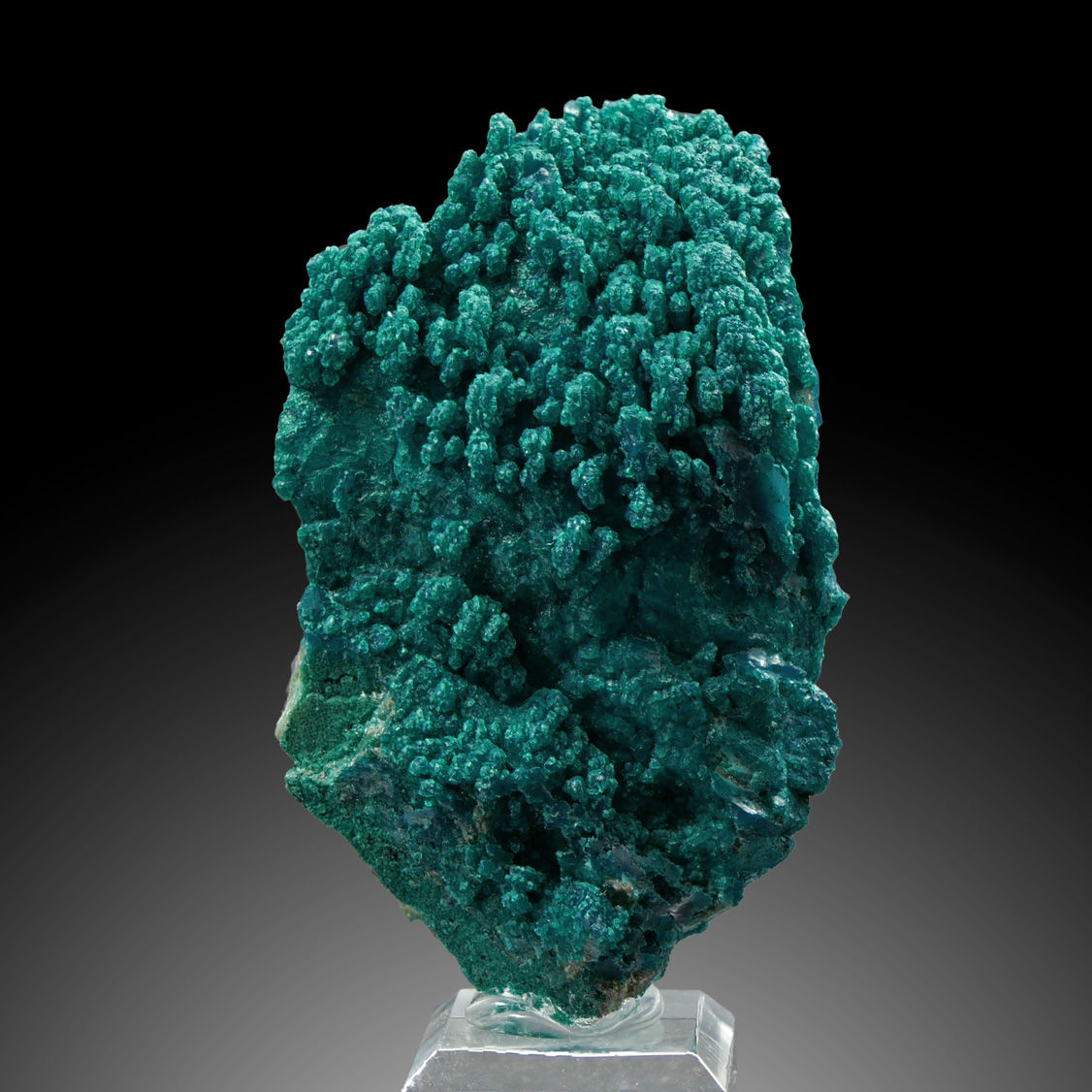 Chrysokoll Kristalle – Tentadora Mine, Julcani, Peru