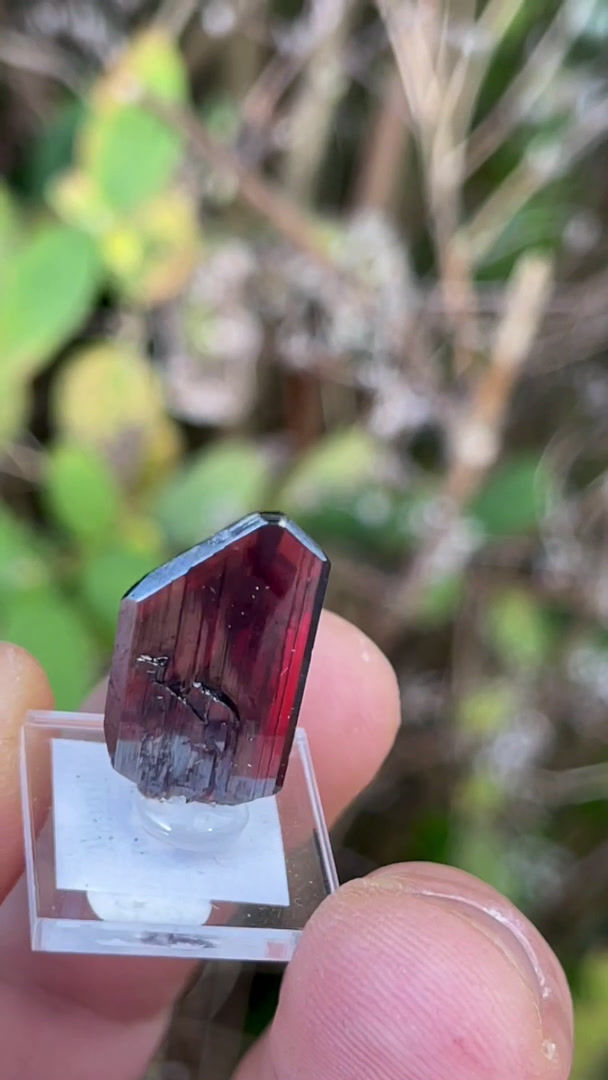 Thumbnail: Brookite – Kharan, Balochistan, Pakistan