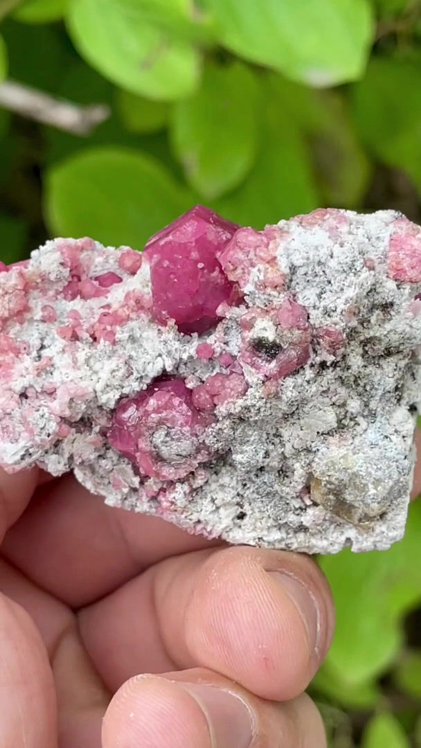 Thumbnail: Garnet Var. Grossular – Lake Jaco, Sierra Cruces, Coahuila, Mexico