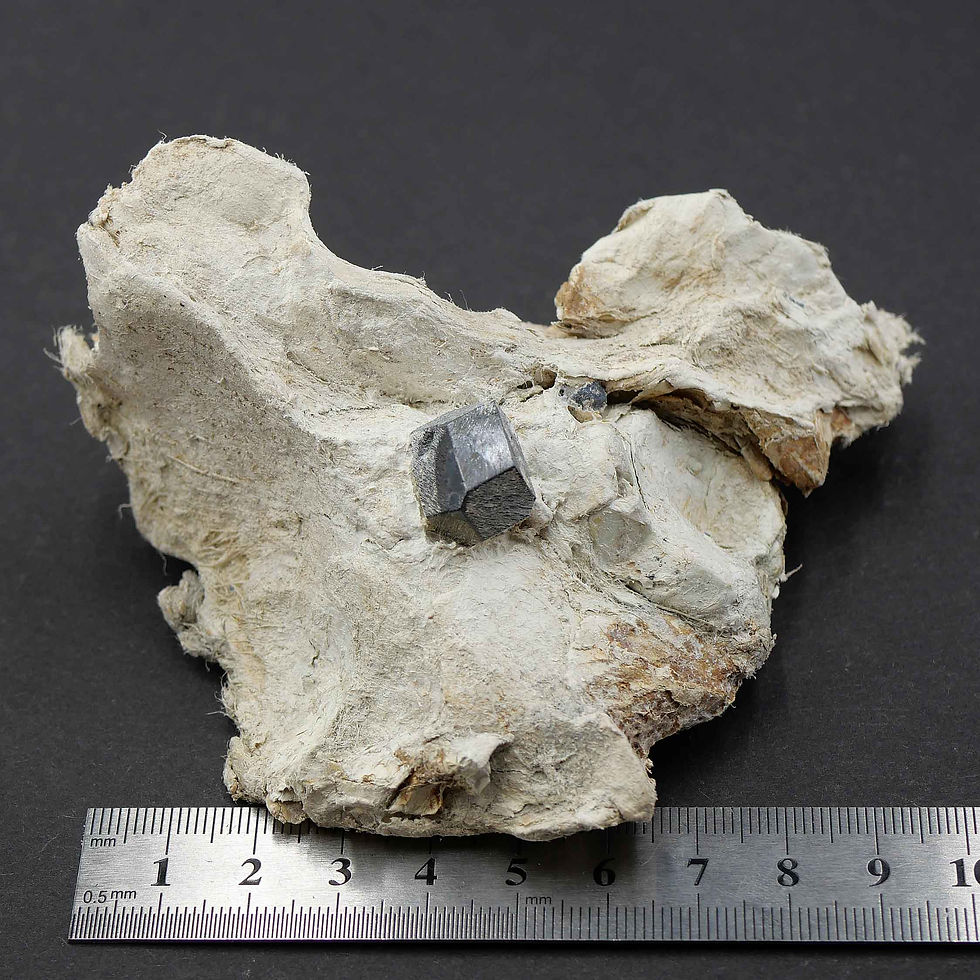 Thumbnail: Magnetit auf Bergleder – Totenköpfle, Stubachtal, Österreich